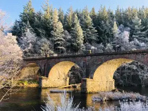 Queen Mary's Chamber