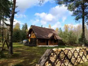 Trakų Vienkiemis
