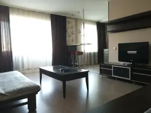 Apartment on Tolepova 13