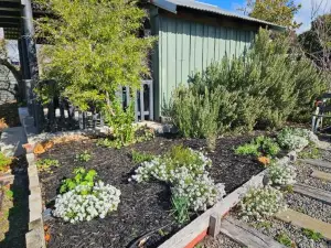 Cosy, 1930s Country Style Cottage in Mount Barker WA