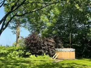 De Twee Zwanen
