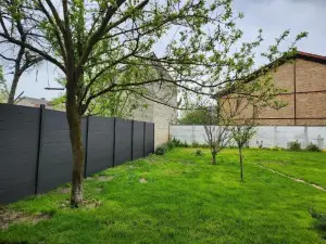 Studio, Pas de Collocation Possible