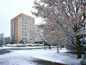 Gostinitsa-A