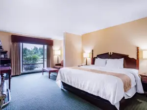 Precious Hotel