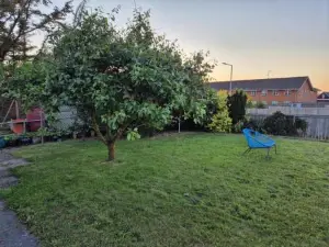 Feriehuse Hvide Sande