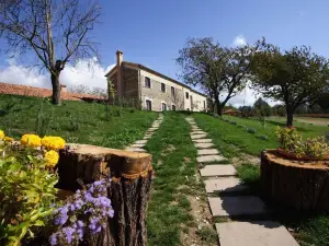 La Rosa Nel Bicchiere