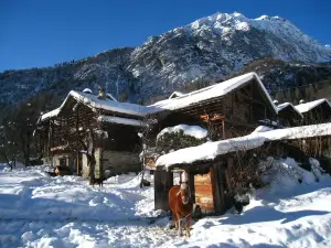 Agriturismo Alagna