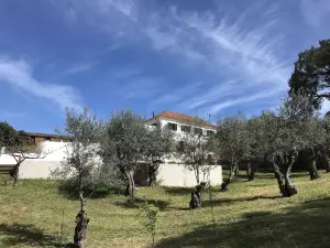 Casa Da Oliveira