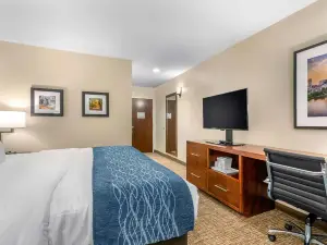 Comfort Inn White House
