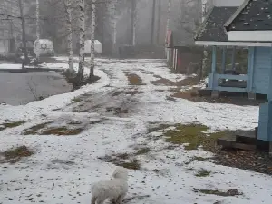 Pieni järvenranta mökki 14 m2