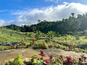 Cosy Farmstay Jasmeeruls Bayt Tuvurara, Savusavu