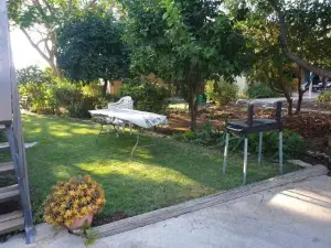 פינה שלווה בטבע- A Peaceful Spot on Nature