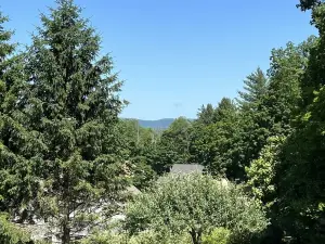 Cozy retreat in beautiful country setting