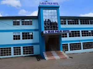 凱里喬藍色棕櫚酒店