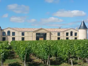 Château Tour Saint-Fort Chambre d'hôtes