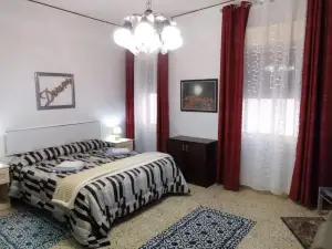 Segesta - Dream Room