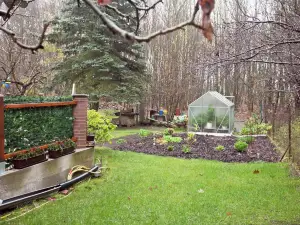 Waldblick Forest Retreat