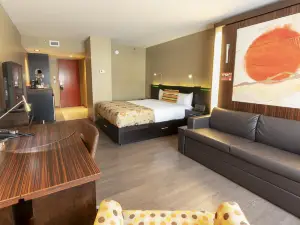 Hotel Must