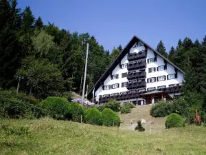 Hotel Tisa Pohorje
