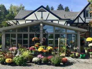 Burleys Gardens and Suite