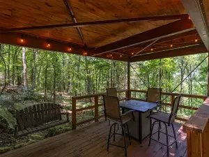 Modern High End Cabin #1 on Horsehead Lake