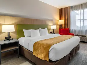 คอมฟอร์ทอินน์แอนด์สวีทส์ คาร์เตอร์สวิลล์ - เอเมอร์สันเลคพอยต์