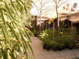 Crown CBD Motel - City Location