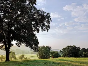 RV on 25 acre Farm on the Spring River