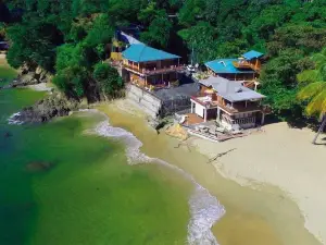 The Naturalist Beach Resort