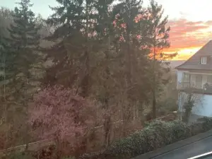 Großzügiges Zimmer Mit Terrasse am Rheinsteig