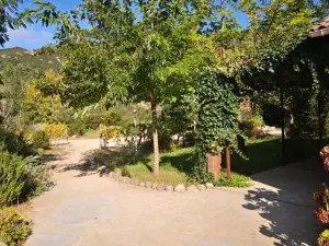 L'Ogliastru