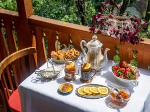 Your Home, Lagodekhi