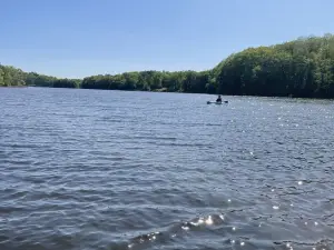 Lake Front Cottage Hidden in the Woods with private dock.