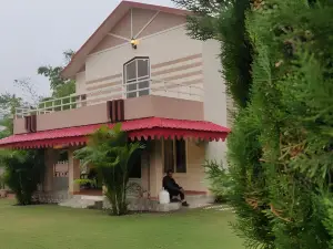 Aloha Vibes - Lap of nature