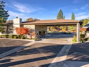 소노라 알라딘 모터 인