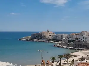 มาย เวสตา สวีทส์