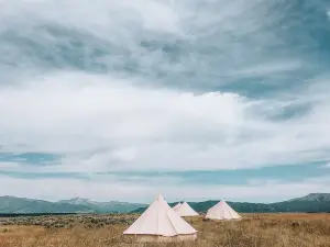 Wander Camp Yellowstone Island Park