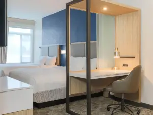 SpringHill Suites Tallahassee North
