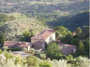 Fattoria Gambaro di Petrognano