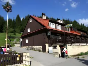 Penzion Pod Pralesem