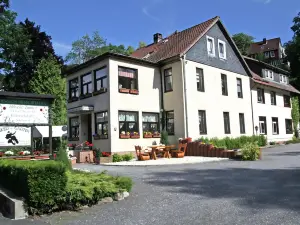 Flat in Wildemann Near Hahnenklee Ski Area