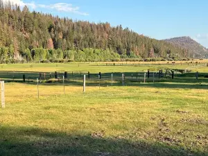Cozy Cabin on working cattle ranch, close drive to Crater Lake, peaceful, quiet