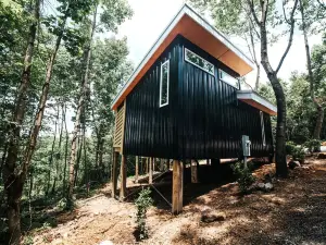 Secluded, Romantic Treehouse Hideaway