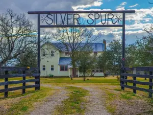 Silverspur at Round Top- Amazing restored 1800's Farmhouse on 40 acres w/a pool!