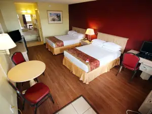 Econo Lodge Inn & Suites Maingate Central