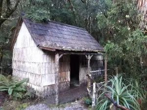 Robin's Nest B&B