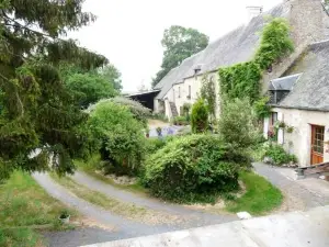 Chambres du Pavo Real