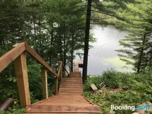 Iggy & Al's Treehouse - Alice Lake