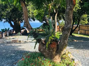 Castara Inn