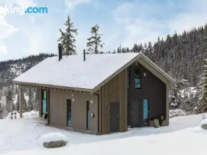 Cozy Home in B I Telemark with Sauna